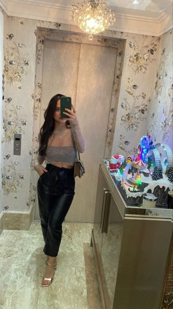 Crop Top and Leather Pants Combo